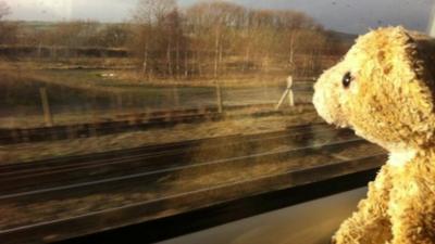 Roar the Lion looking out of a train window