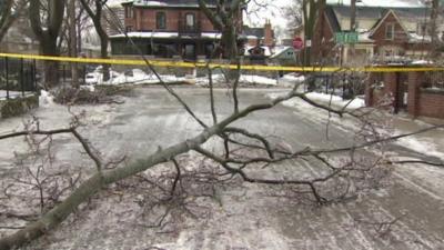 A fallen branch on an icy road