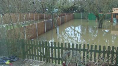 Flooded garden