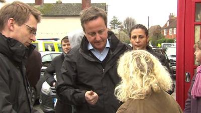 David Cameron and woman