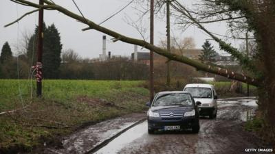 Cars drive under fallen tree