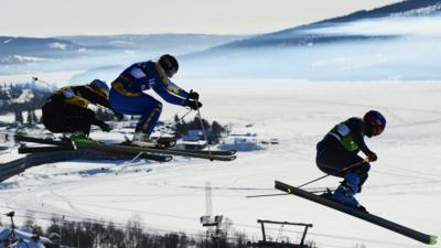 Freestyle skiing cross