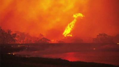 Bush fire in Australia