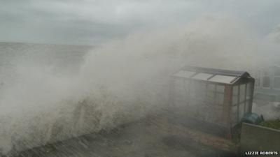 Seawater spraying shed in Lizzie Roberts's garden