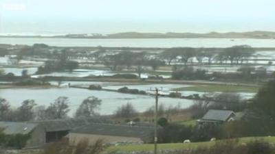 Flooded fields