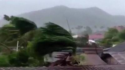 Trees bend in winds of Typhoon Haiyan, the Philippines, November 2013