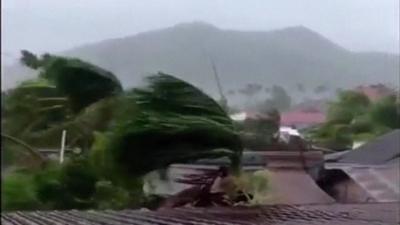 Trees bend in winds of Typhoon Haiyan, the Philippines, November 2013