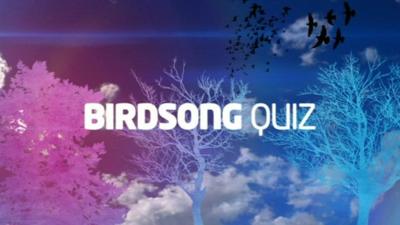 Graphic image with text saying birdsong quiz