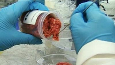 Meat tested in lab