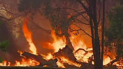 Wildfires in Australia