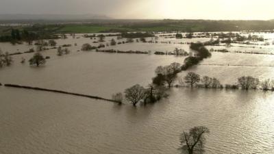 Flooded fields