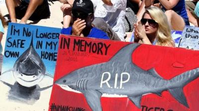 Protestors with signs painted with sharks on them