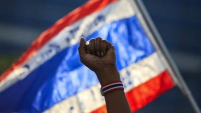 An anti-government protester raises a fist during a rally