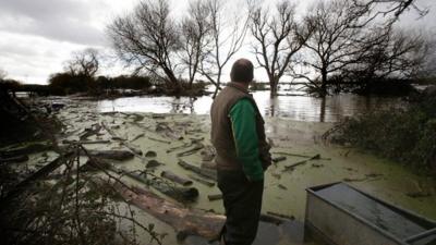 Flooding damage on the Somerset levels