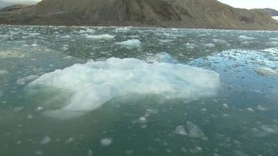 lump of floating ice