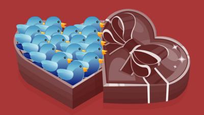 Illustration of Twitter birds in box of chocolates