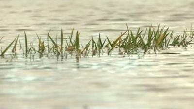 Rainwater gathers in puddles at Cheltenham Racecourse