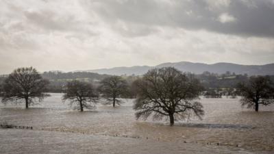 Flooded field in Worcester