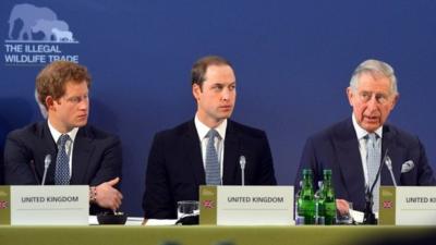 Prince Harry and Prince William listen as Prince Charles gives a speech at the Illegal Wildlife Trade Conference