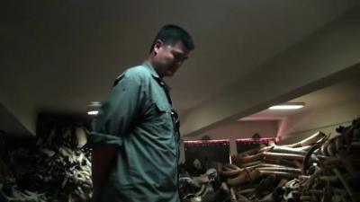 Yao Ming in a room full of elephant husks