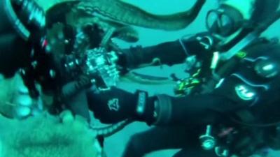 Diver wrestles with octopus