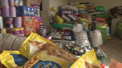 Supplies of donated pet food