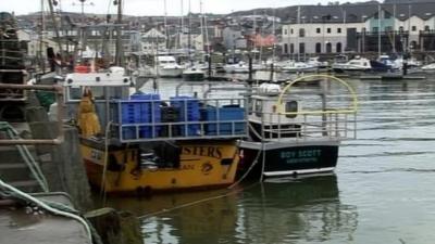 Fishing boats