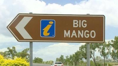 Where did the mango go?