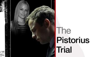 Oscar Pistorius trial graphic