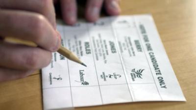 Ballot paper for postal vote (file photo)