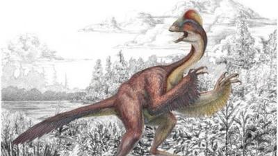 Anzu wyliei: A new dinosaur discovery