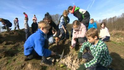 Kids digging