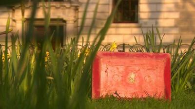 Red briefcase in the grass