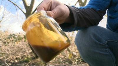 Oil in a jar