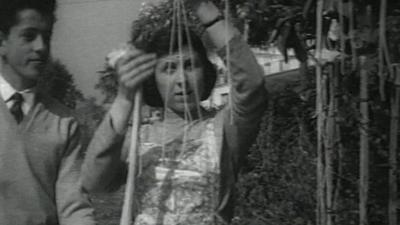 Woman picking 'spaghetti'