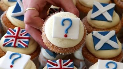 Referendum cakes