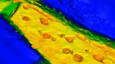 Digitally recreated dinosaur trackway (c) RVC