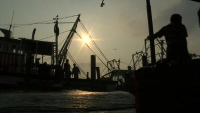 Silhouettes of fishing boats