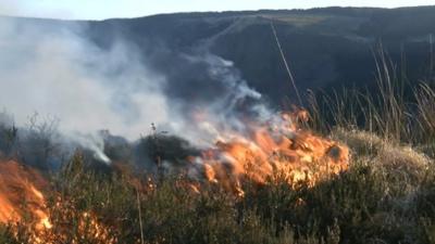 A grass fire