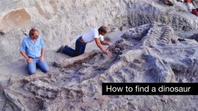Workers on the original excavation of the Wankel T-Rex in Montana