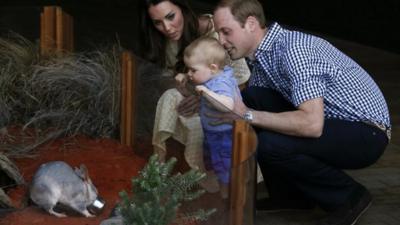 The Duchess of Cambridge and Prince William watch as their son Prince George looks at a Bilby