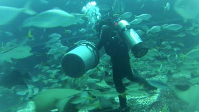 Aquarist Amanda Leong