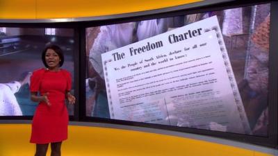 Lebo Diseko with Freedom Charter graphic