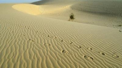 Footprints in sand