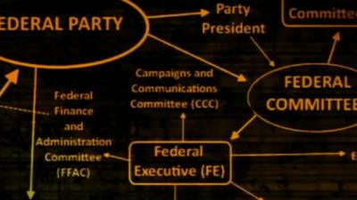 Graphic of Lib Dem party structure