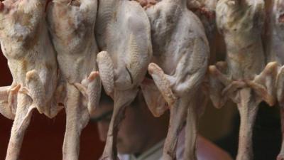 Halal chickens hang for sale on a butchers stall