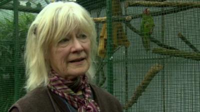 Owner Anthea Forde said the incident would have traumatised the birds