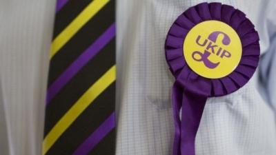 Man wearing UKIP rosette