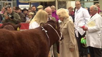The Duchess of Cornwall at the Royal Bath & West Show