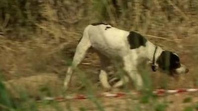 A sniffer dog moves through scrubland